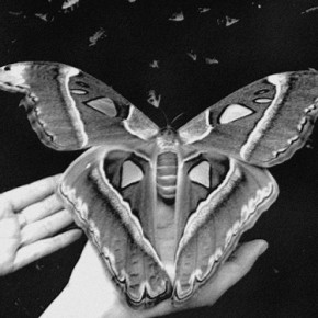 What we seek is here~