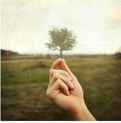 As you plant your own truth, more truth comes to light~