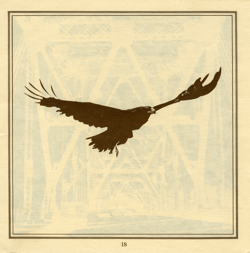 mystic mamma- wings, hawk, flying