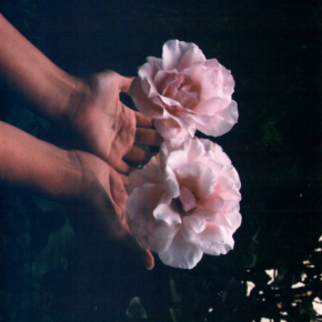 Love flows from the wisdom of the heart~
