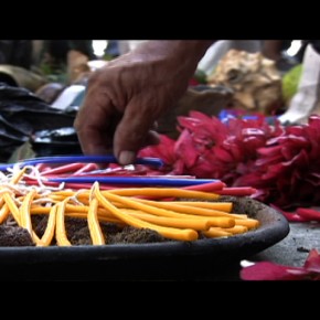 Watch this film: 2012 La Palabra Maya (The Mayan Word)~
