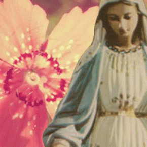 "Mother Mary: Open your heart wider" channeled By Fran Zepeda~